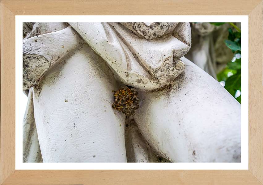 Cassetta in legno + stampa fine art